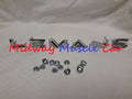 65 66 Pontiac LEMANS rear side quarter 1/4 panel letters emblem