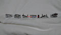 1966 66 Pontiac GTO rear tail panel P O N T I A C ornament emblem