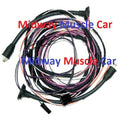 rear body taillight lamp wiring harness 1956 56 Chevy Nomad