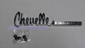 Chevelle by CHEVROLET rear deck trunk lid emblem 71 72 Chevy Chevelle